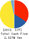 TOKYO Lithmatic Corporation Cash Flow Statement 2012年12月期
