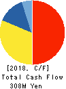 TBCSCAT Inc. Cash Flow Statement 2018年Oct期 TBCSCAT Inc. Cash Flow Statement 2018年10月期