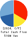 DAIUN CO.,LTD. Cash Flow Statement 2024年3月期