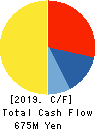 DM Solutions Co.,Ltd Cash Flow Statement 2019年3月期
