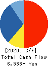 KANEMATSU ELECTRONICS LTD. Cash Flow Statement 2020年3月期