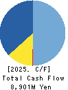 RAIZNEXT Corporation Cash Flow Statement 2025年Mar期 RAIZNEXT Corporation Cash Flow Statement 2025年3月期