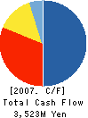 TASCOSYSTEM Co.,Ltd. Cash Flow Statement 2007年12月期