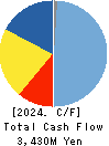 SOURCENEXT CORPORATION Cash Flow Statement 2024年3月期