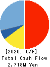 ENSHU Limited Cash Flow Statement 2020年3月期