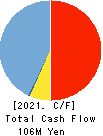 CLUSTER TECHNOLOGY CO., LTD. Cash Flow Statement 2021年3月期
