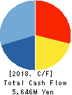CAC Holdings Corporation Cash Flow Statement 2018年12月期