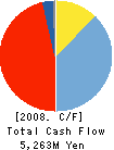C&I Holdings Co., Ltd. Cash Flow Statement 2008年12月期