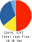 PIGEON CORPORATION Cash Flow Statement 2019年12月期