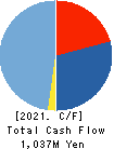 NFK HOLDINGS CO.,LTD Cash Flow Statement 2021年3月期