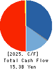 TOKYO ENERGY & SYSTEMS INC. Cash Flow Statement 2025年3月期