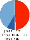 CAPITA Inc. Cash Flow Statement 2025年3月期