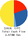 Daito Chemix Corporation Cash Flow Statement 2024年Mar期 Daito Chemix Corporation Cash Flow Statement 2024年3月期