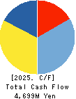 ALPHA SYSTEMS INC. Cash Flow Statement 2025年Mar期 ALPHA SYSTEMS INC. Cash Flow Statement 2025年3月期