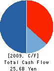 ARNEST ONE CORPORATION Cash Flow Statement 2009年3月期