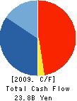 The Daiei,Inc. Cash Flow Statement 2009年2月期