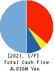 gremz,Inc. Cash Flow Statement 2021年3月期