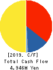 DAIOHS CORPORATION Cash Flow Statement 2019年3月期
