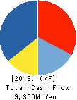 ISHIZUKA GLASS CO.,LTD. Cash Flow Statement 2019年3月期