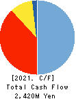 TOKYO BOARD INDUSTRIES CO.,LTD. Cash Flow Statement 2021年3月期