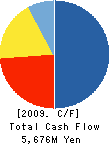 C&I Holdings Co., Ltd. Cash Flow Statement 2009年12月期