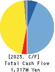 Datasection Inc. Cash Flow Statement 2025年Mar期 Datasection Inc. Cash Flow Statement 2025年3月期