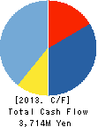 TDF CORPORATION Cash Flow Statement 2013年3月期