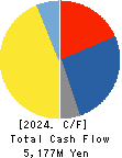 TOREX SEMICONDUCTOR LTD. Cash Flow Statement 2024年3月期