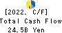 Tokyo Tatemono Co.,Ltd. Cash Flow Statement 2022年12月期