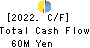 TeamSpirit Inc. Cash Flow Statement 2022年8月期
