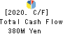 SANKYO KASEI CORPORATION Cash Flow Statement 2020年3月期