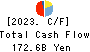 Aichi Financial Group,Inc. Cash Flow Statement 2023年3月期