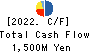 SEIWA CHUO HOLDINGS CORPORATION Cash Flow Statement 2022年12月期
