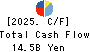 VITAL KSK HOLDINGS,INC. Cash Flow Statement 2025年3月期
