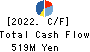JAPAN PURE CHEMICAL CO.,LTD. Cash Flow Statement 2022年3月期
