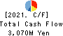 OCHI HOLDINGS CO.,LTD. Cash Flow Statement 2021年3月期
