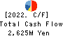 NIPPON RIETEC CO.,LTD. Cash Flow Statement 2022年Mar期 NIPPON RIETEC CO.,LTD. Cash Flow Statement 2022年3月期