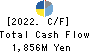 TERASAKI ELECTRIC CO.,LTD. Cash Flow Statement 2022年3月期