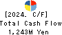 TAIHEIYO KOUHATSU INCORPORATED Cash Flow Statement 2024年3月期
