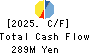 Terilogy Holdings Corporation Cash Flow Statement 2025年3月期