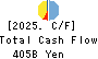 North Pacific Bank, Ltd. Cash Flow Statement 2025年Mar期 North Pacific Bank, Ltd. Cash Flow Statement 2025年3月期
