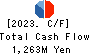 RINKO CORPORATION Cash Flow Statement 2023年3月期
