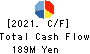 THE NIHON SEIMA CO.,LTD. Cash Flow Statement 2021年3月期