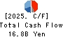 ARE Holdings, Inc. Cash Flow Statement 2025年Mar期 ARE Holdings, Inc. Cash Flow Statement 2025年3月期
