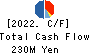 SHOKUBUN CO.,LTD. Cash Flow Statement 2022年Mar期 SHOKUBUN CO.,LTD. Cash Flow Statement 2022年3月期