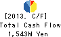SHINSEIDO CO.,LTD. Cash Flow Statement 2013年2月期