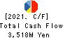 TECHMATRIX CORPORATION Cash Flow Statement 2021年Mar期 TECHMATRIX CORPORATION Cash Flow Statement 2021年3月期
