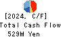 SE Holdings and Incubations Co.,Ltd. Cash Flow Statement 2024年Mar期 SE Holdings and Incubations Co.,Ltd. Cash Flow Statement 2024年3月期