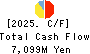 SBI Insurance Group Co.,Ltd. Cash Flow Statement 2025年Mar期 SBI Insurance Group Co.,Ltd. Cash Flow Statement 2025年3月期